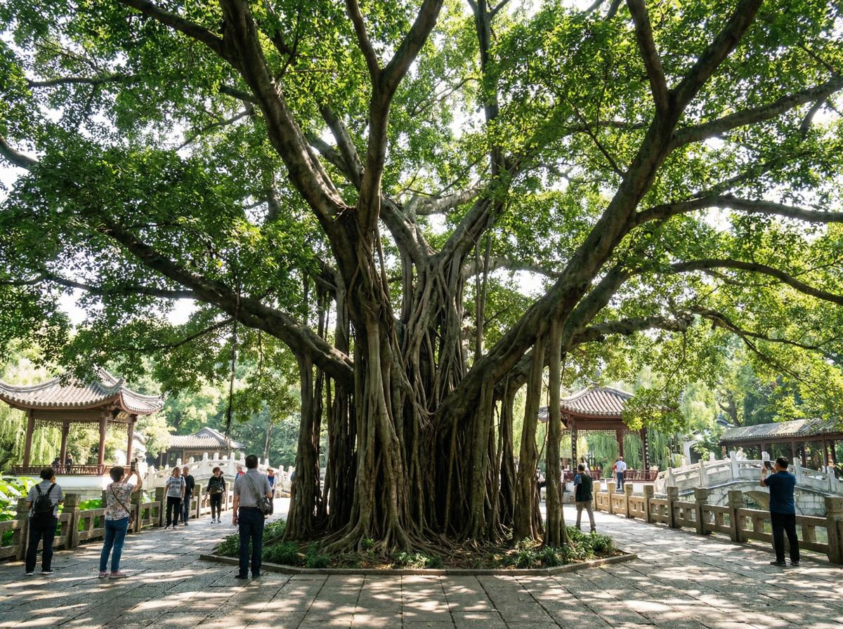 小马拉大车社区顾问王雅琴